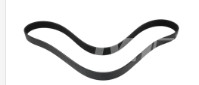 CINGHIA - codice 102613