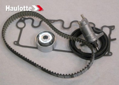 KIT MANUTINZIONE 3000H MOTORE BF/F/3L/M/2011 - codice 2324000560