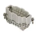 Frutto spina Ilme maschio 10P - codice 102-CNEM10T