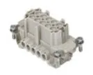 Frutto Ilme femmina 10P - codice 102-CNEF10T