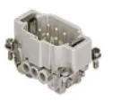 Frutto ilme maschio 6P - codice 102-CNEM06T