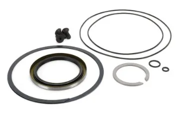 SEAL KIT, WHEEL DRIVE (106148GT-106445GT-107712GT) - codice 01-1286600GT