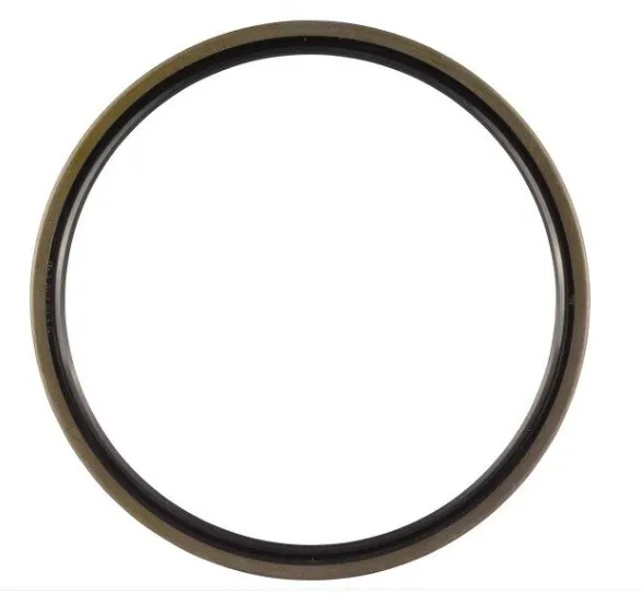 SEAL, MAIN LIP - codice 00-70001739