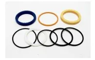 KIT GUARNIZIONI (TYPE TEXAS) FOR CYL 5517 - codice 01-66469GT