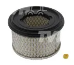 1 - FILTRO ARIA - Codice 100-34286427