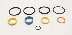 SEAL KIT,2" BORE,1" ROD*** - codice 01-59169GT