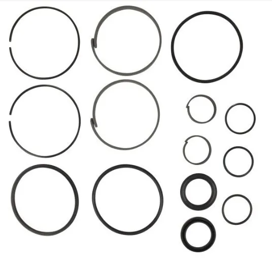 Set guarnizioni cilindro - codice 100-2901271