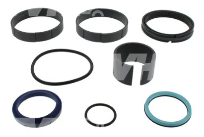1 - SET TENUTE CILINDRO - Codice 100-2901806