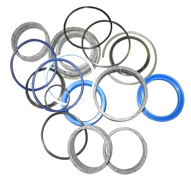Set tenute cilindro - codice 00-7017246
