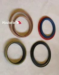 Set guarnizioni pistone stabilizzatore (opt) Haulotte C12DX - codice 02-2421693430