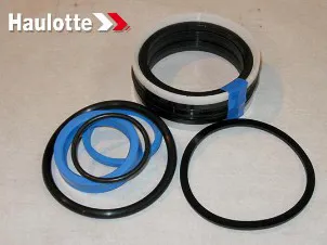 Kit di guarnizioni idrauliche - codice 100-2421693080