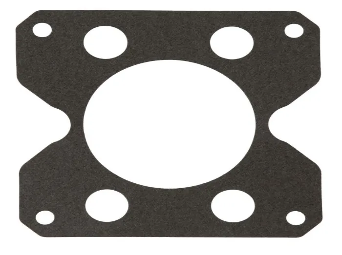Gasket input - codice 00-70002408