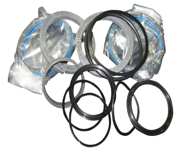 Kit seal - codice 00-2901273