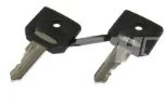 Chiave accensione 421E  - kit 2 pezzi - codice 102-ZBG421E
