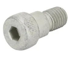 BOLT,SSHS,.75X.5X5/8-11,ZAG - codice 01-1259694GT