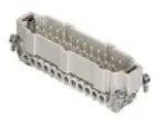 Frutto Ilme maschio 24P - codice 102-CNEM24T