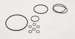 O-RING KIT, AUSCO 1200 IN/LBV - codice 01-139354GT