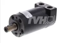 MOTORE IDRAULICO - codice 100-2431203300
