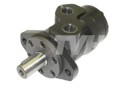1 - MOTORE IDRAULICO - Codice 100-2431203450
