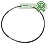 1 - ANELLO - Codice 100-487379