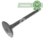 Valvola - codice 100-U20176380