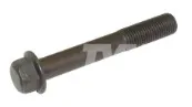 1 - VITE TESTA MOTORE - Codice 100-111136511
