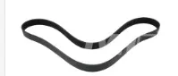 CINGHIA - codice 100-102613