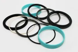 SEAL KIT,DY LIFTCYL (55715) - codice 01-78910GT
