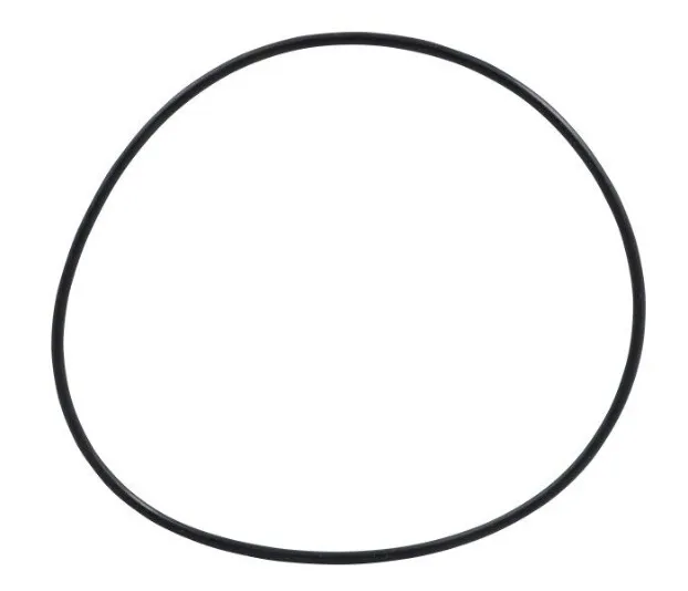 O-ring - codice 00-7024763