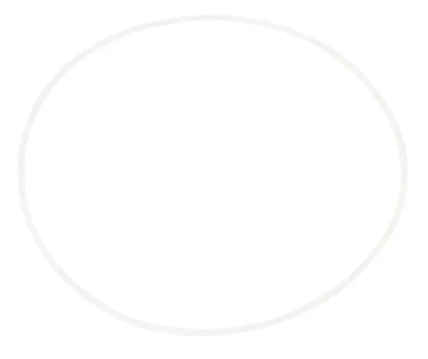 O-ring - codice 00-7017070