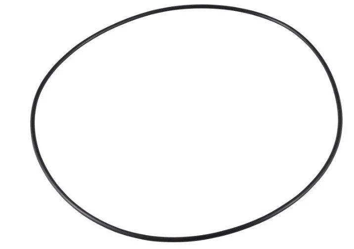 O-ring - codice 00-7000230