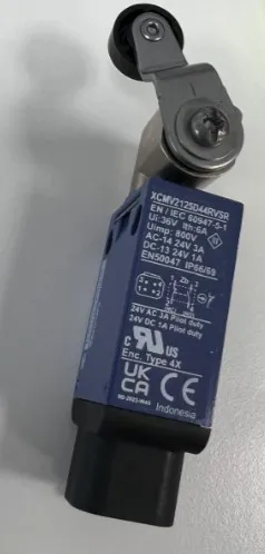 SWITCH,ROLLER LIMIT - codice 00-1001284507