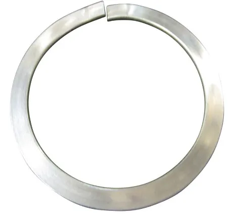 TERMINAL, RECEPTACLE LOCKWASH - codice 00-4460471