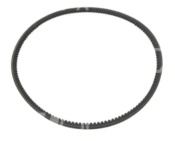 V-Cinghie - codice 100-10238283
