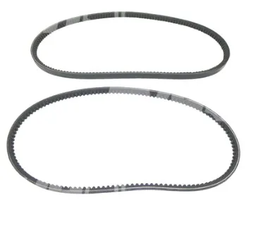 V-Cinghie - codice 100-K2820304170