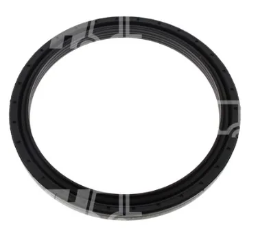1 - PARAOLIO  - Codice 100-2326003940