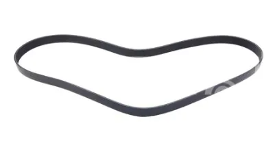 Cinghia piatta alternatore - codice 100-53012452