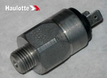 1 - PRESSOSTATO - Codice 100-2441303570