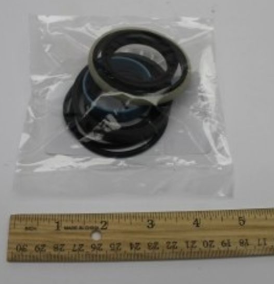 SEAL KIT,HYDRAULIC CYLINDER*** - codice 01-31078GT