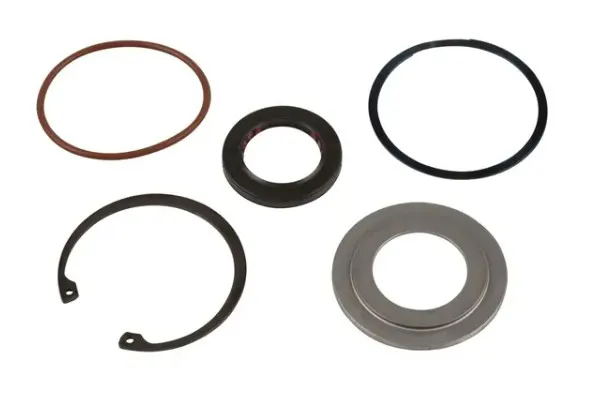 KIT, SHAFT SEAL - codice 00-70002174