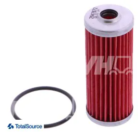 Filtro combustibile - codice 100-P502166