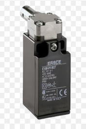 LIMIT SWITCH E 101 - codice 21729